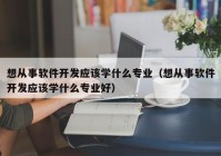 想从事软件开发应该学什么专业（想从事软件开发应该学什么专业好）