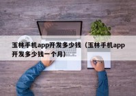 玉林手机app开发多少钱（玉林手机app开发多少钱一个月）