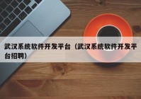 武汉系统软件开发平台（武汉系统软件开发平台招聘）