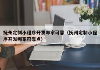 抚州定制小程序开发哪家可靠（抚州定制小程序开发哪家可靠点）