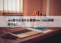 seo是什么为什么要做seo（seo需要会什么）