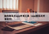 国内傻瓜式app开发工具（app傻瓜式开发软件）