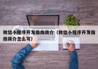 微信小程序开发指南简介（微信小程序开发指南简介怎么写）