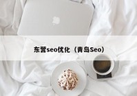 东营seo优化（青岛Seo）