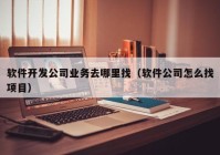 软件开发公司业务去哪里找（软件公司怎么找项目）