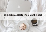 威海抖音seo哪家好（抖音seo排名公司）