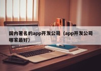 国内著名的app开发公司（app开发公司哪家最好）