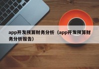 app开发预算财务分析（app开发预算财务分析报告）