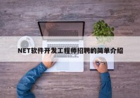 NET软件开发工程师招聘的简单介绍