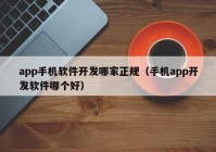 app手机软件开发哪家正规（手机app开发软件哪个好）