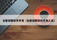 合肥招聘软件开发（合肥招聘软件开发人员）