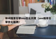 柳州搜索引擎seo优化代理（seo搜索引擎优化服务）