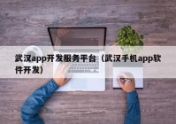 武汉app开发服务平台（武汉手机app软件开发）