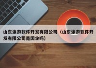 山东涂游软件开发有限公司（山东涂游软件开发有限公司是国企吗）