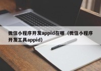 微信小程序开发appid在哪（微信小程序开发工具appid）