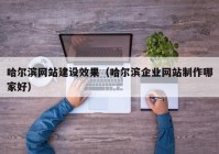 哈尔滨网站建设效果（哈尔滨企业网站制作哪家好）