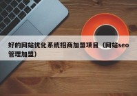 好的网站优化系统招商加盟项目（网站seo管理加盟）