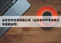 山东软件开发有限公司（山东软件开发有限公司是国企吗）